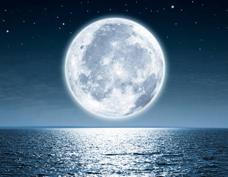 MOONLIGHT