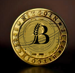 BTCS