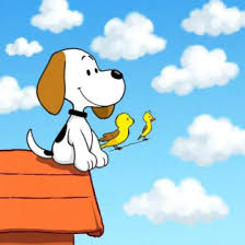 AAAA
